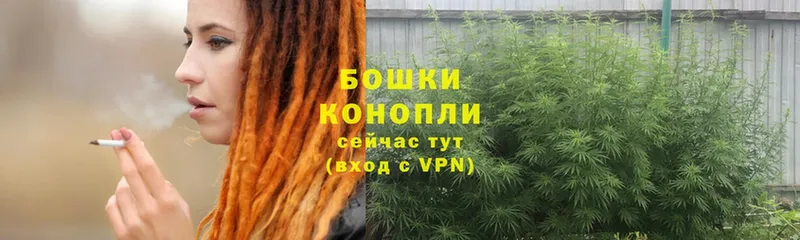 Шишки марихуана White Widow  Александровск 